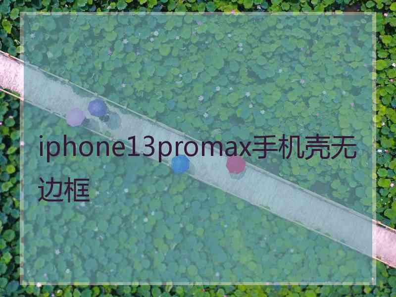 iphone13promax手机壳无边框