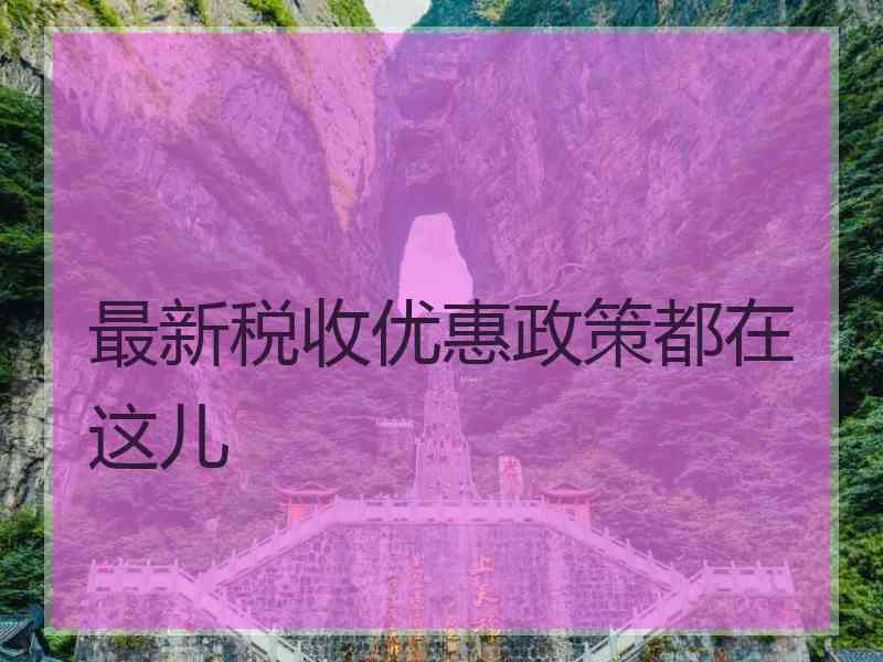 最新税收优惠政策都在这儿