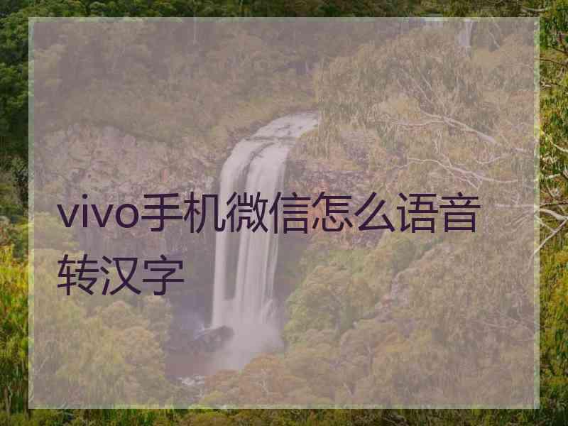 vivo手机微信怎么语音转汉字