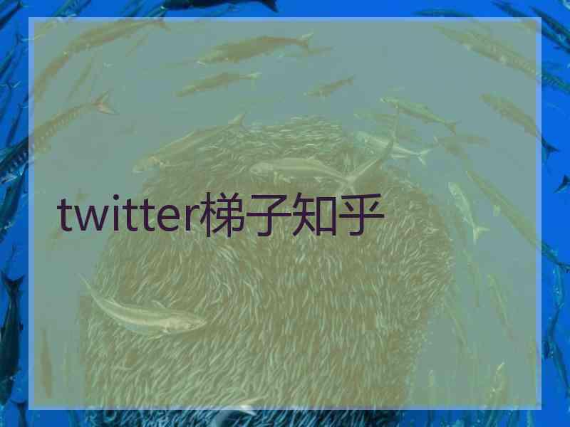 twitter梯子知乎