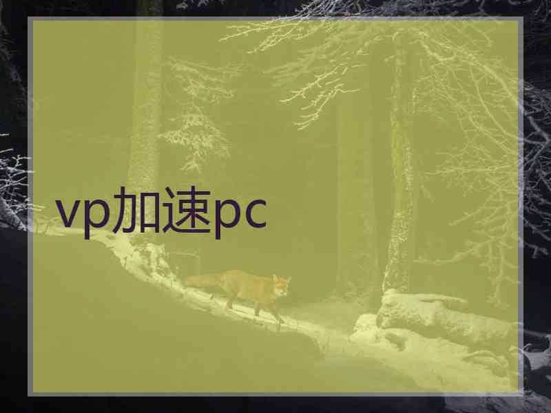 vp加速pc