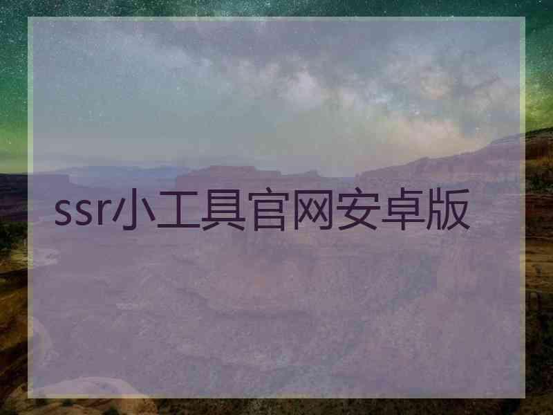 ssr小工具官网安卓版