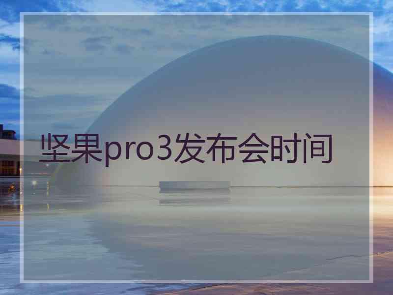 坚果pro3发布会时间