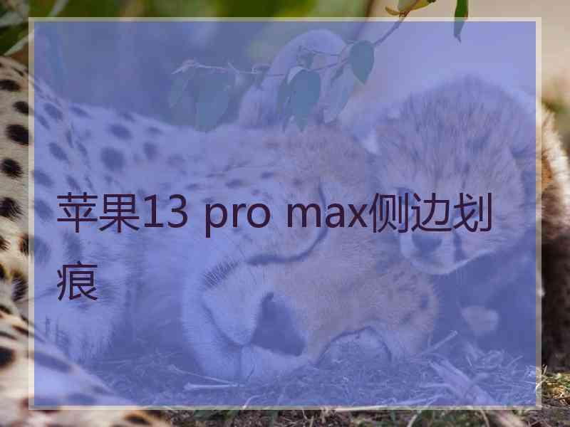 苹果13 pro max侧边划痕