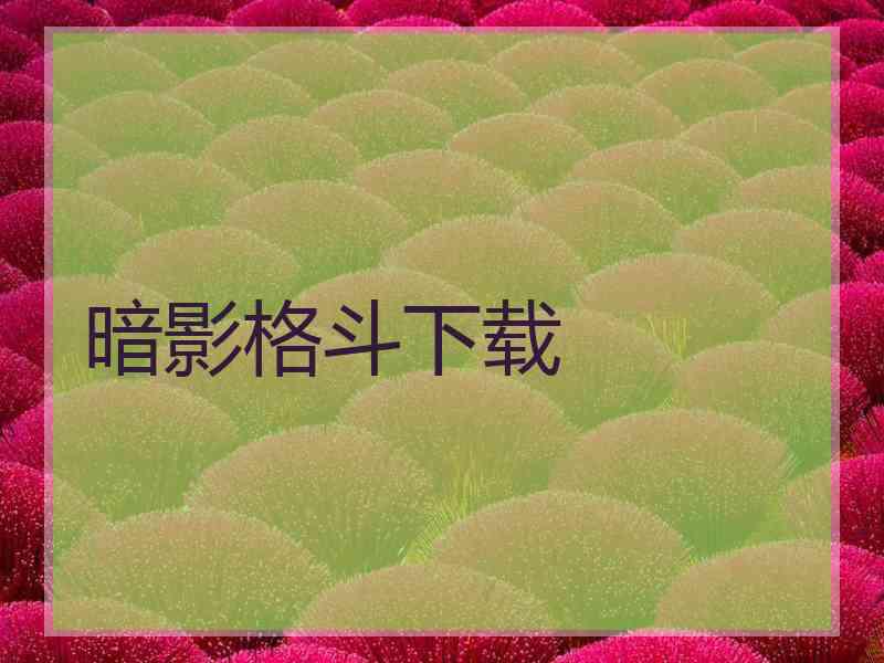 暗影格斗下载