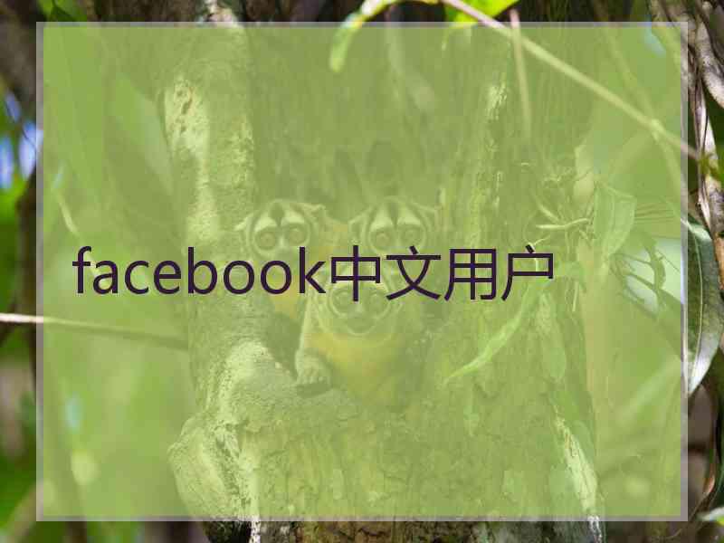 facebook中文用户