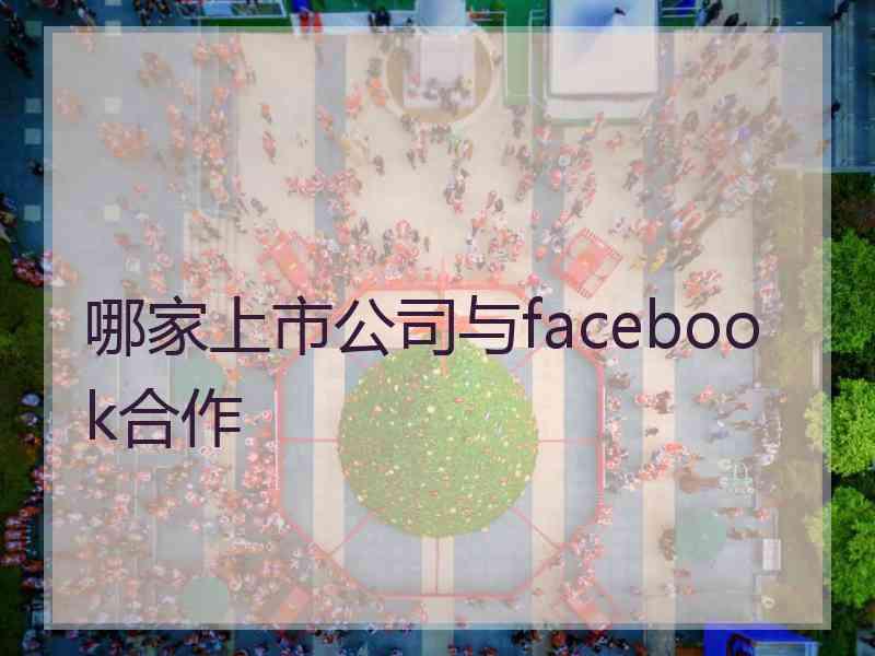 哪家上市公司与facebook合作