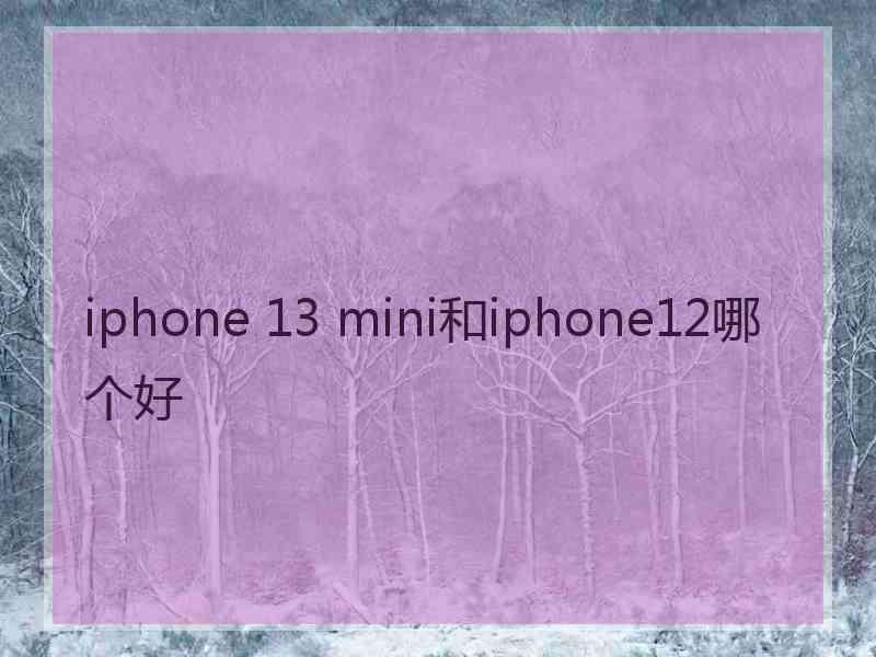 iphone 13 mini和iphone12哪个好