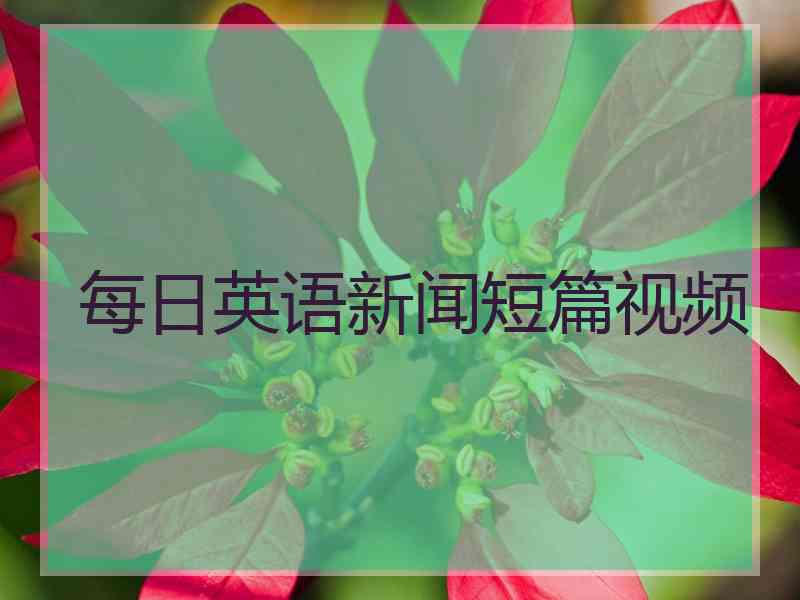 每日英语新闻短篇视频