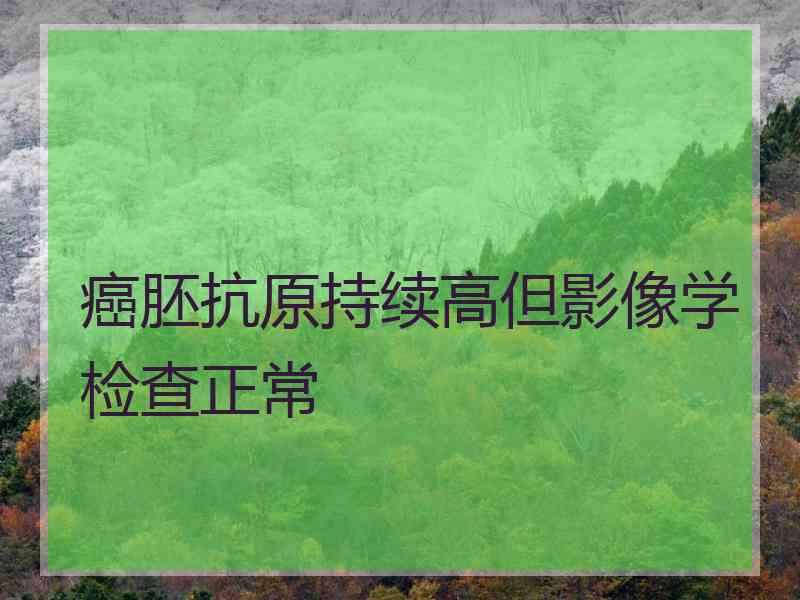 癌胚抗原持续高但影像学检查正常