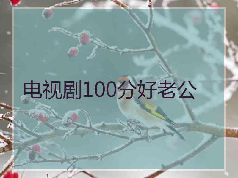 电视剧100分好老公