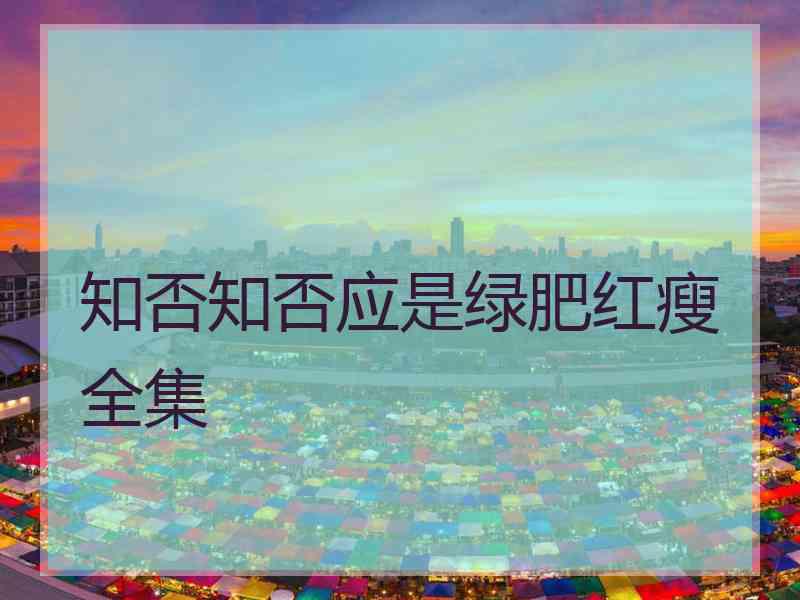 知否知否应是绿肥红瘦全集