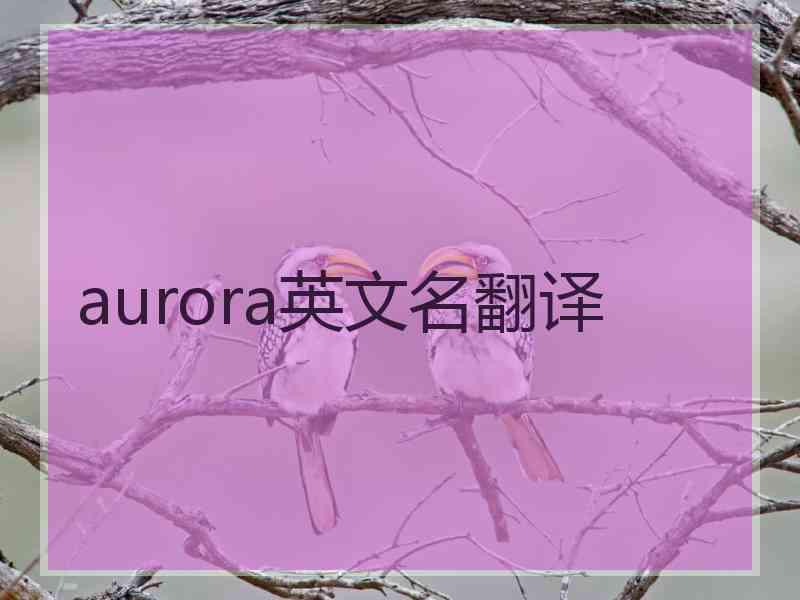 aurora英文名翻译