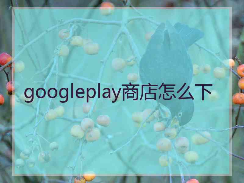 googleplay商店怎么下