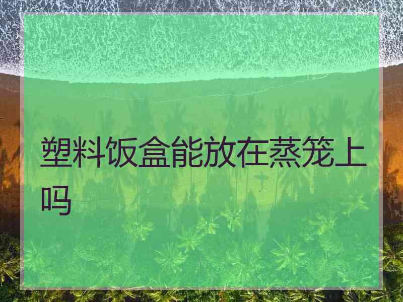 塑料饭盒能放在蒸笼上吗