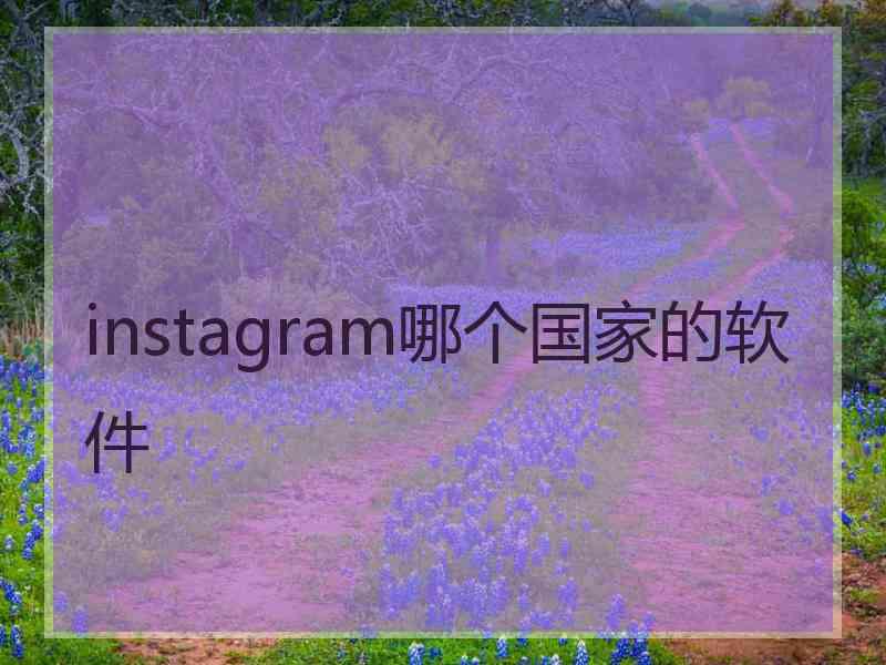 instagram哪个国家的软件