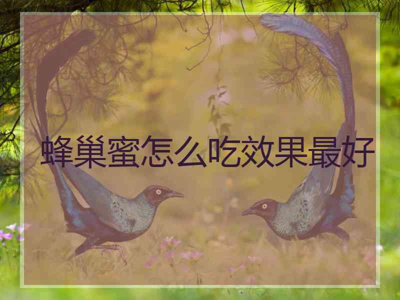 蜂巢蜜怎么吃效果最好