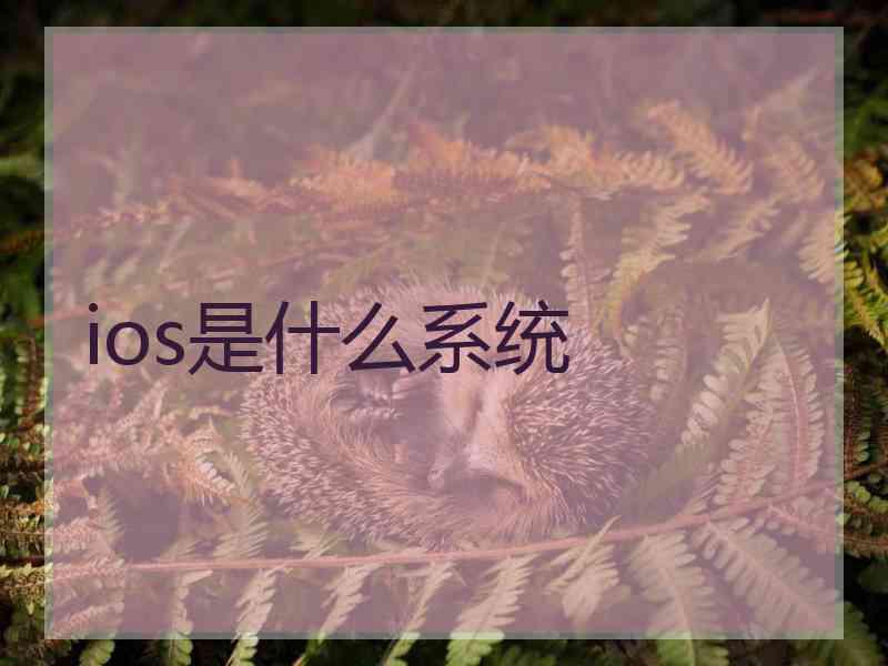 ios是什么系统