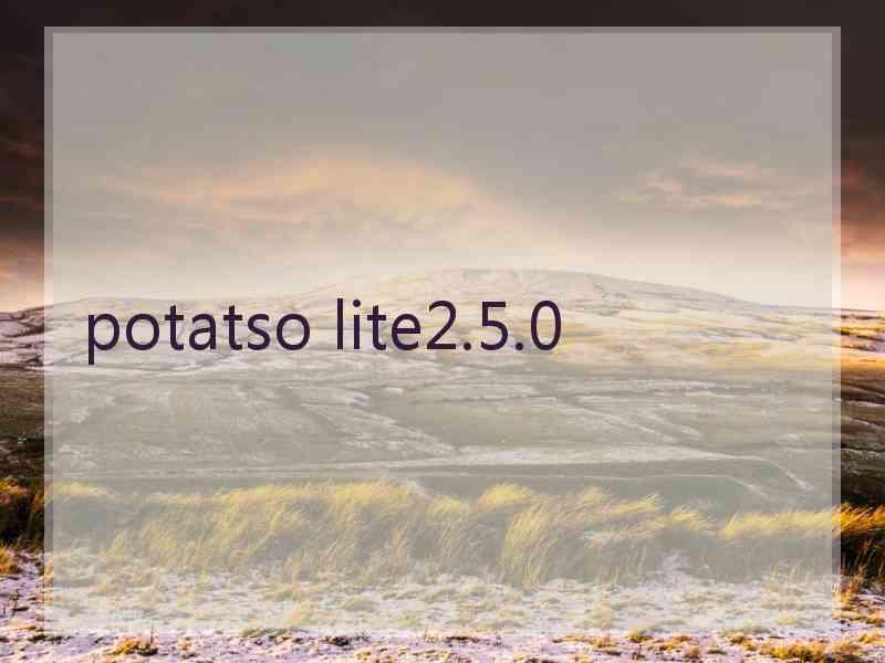 potatso lite2.5.0