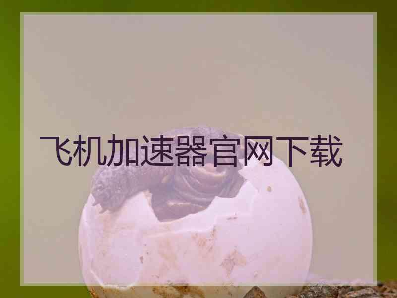 飞机加速器官网下载