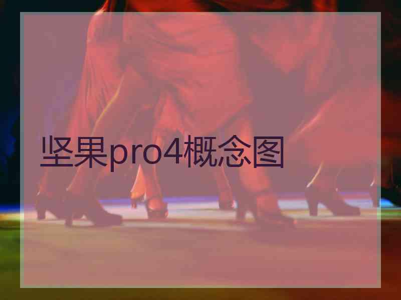 坚果pro4概念图