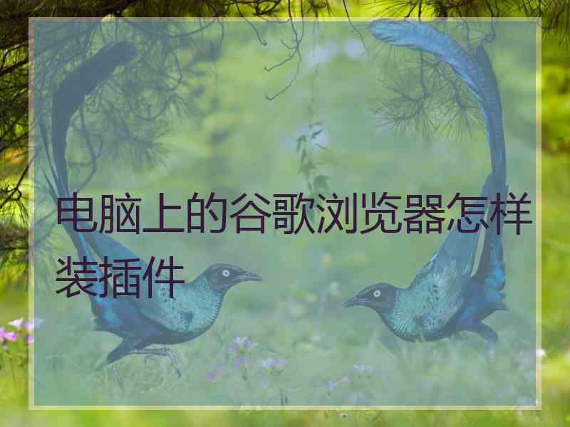 电脑上的谷歌浏览器怎样装插件