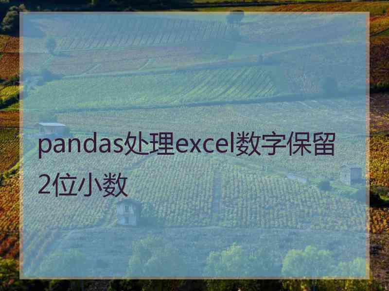 pandas处理excel数字保留2位小数