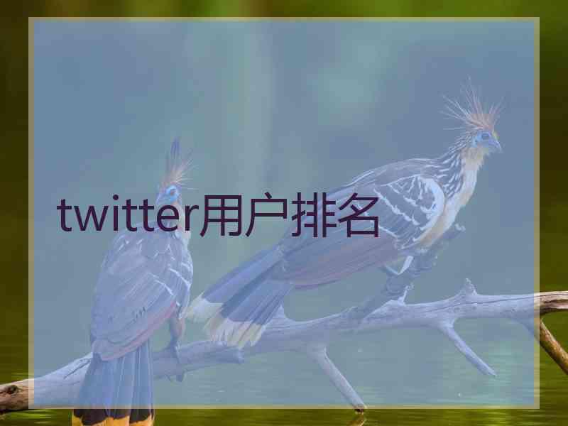 twitter用户排名