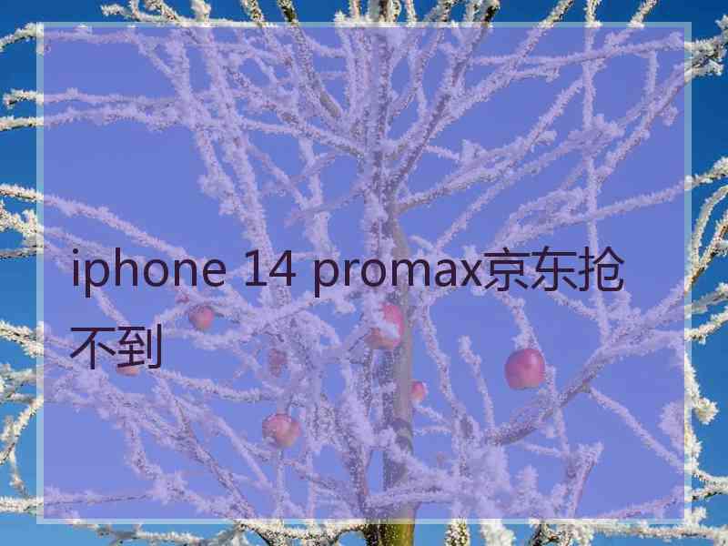 iphone 14 promax京东抢不到