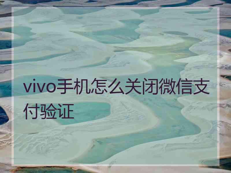 vivo手机怎么关闭微信支付验证