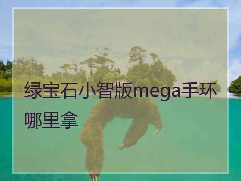 绿宝石小智版mega手环哪里拿