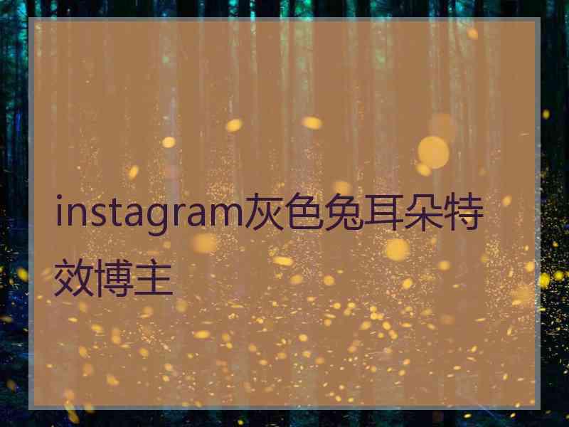 instagram灰色兔耳朵特效博主