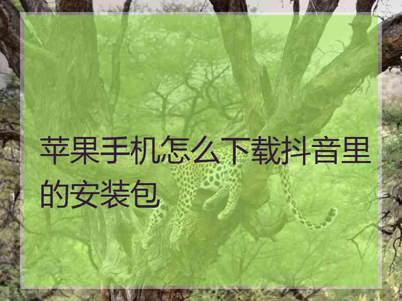 苹果手机怎么下载抖音里的安装包