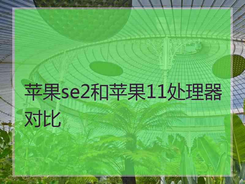 苹果se2和苹果11处理器对比