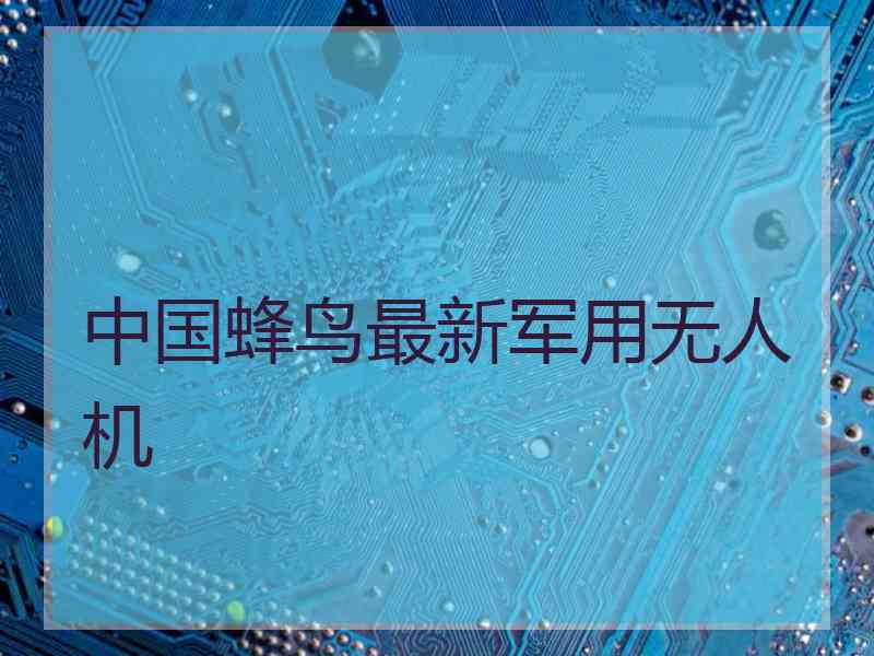 中国蜂鸟最新军用无人机