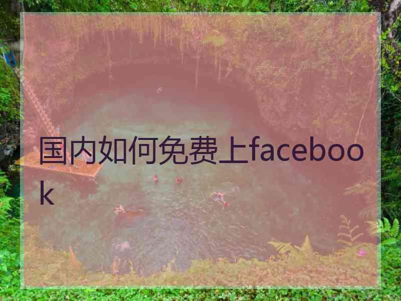 国内如何免费上facebook