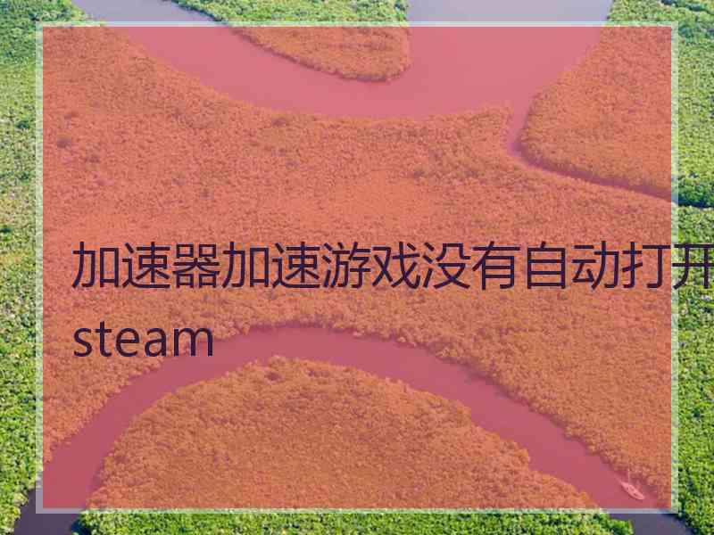 加速器加速游戏没有自动打开steam