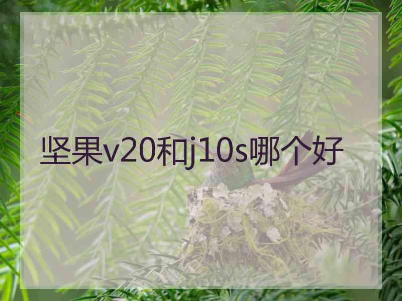 坚果v20和j10s哪个好