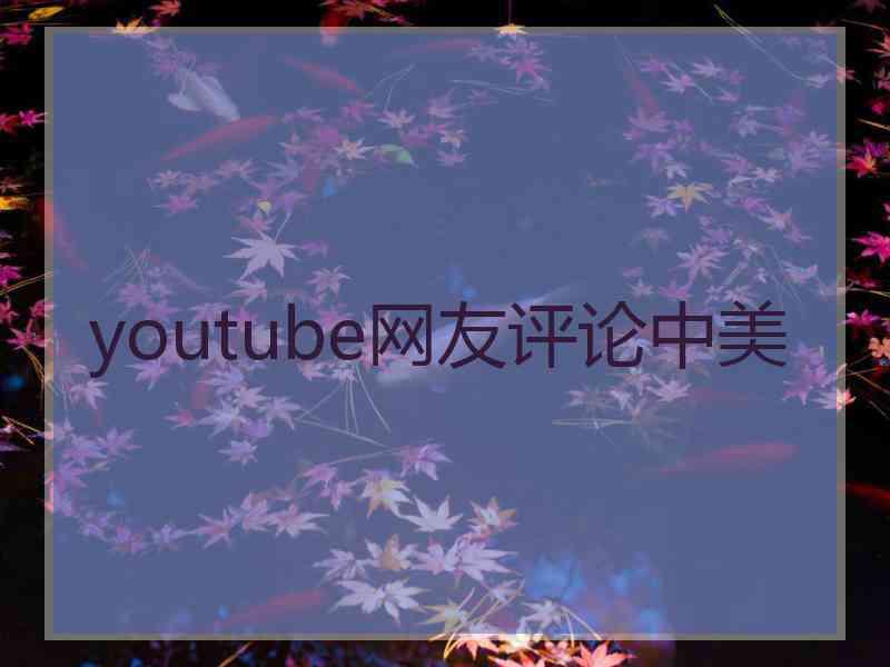 youtube网友评论中美