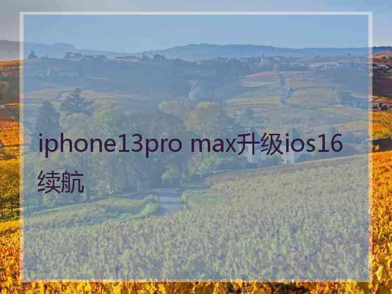 iphone13pro max升级ios16续航