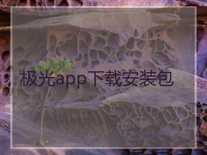 极光app下载安装包