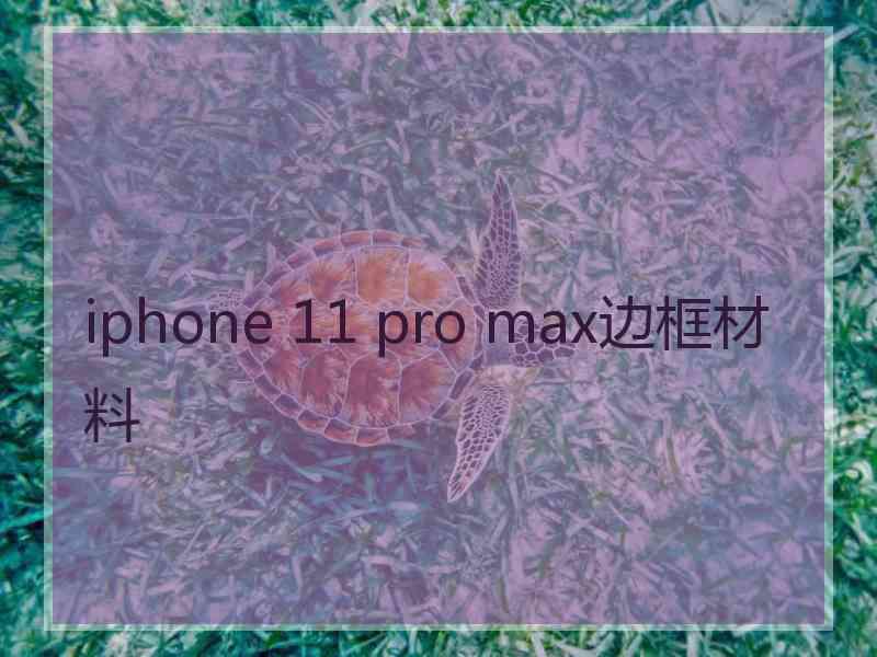 iphone 11 pro max边框材料