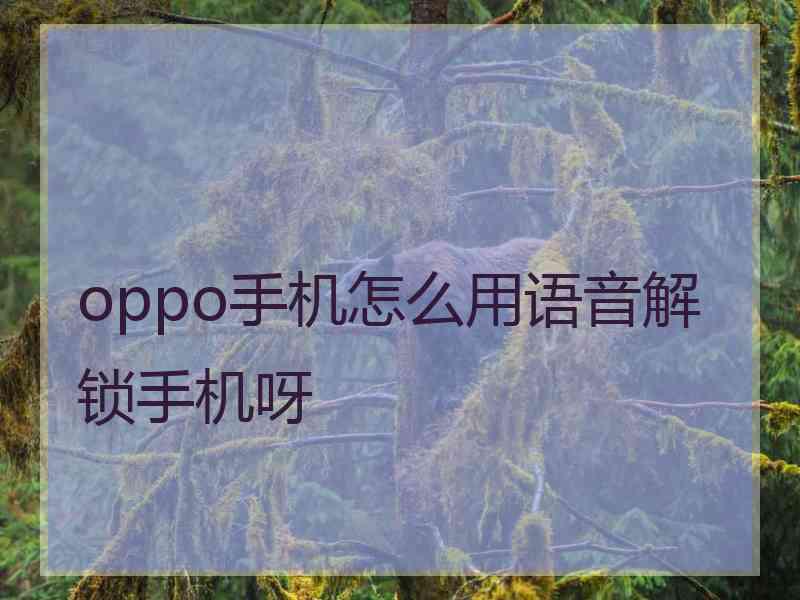 oppo手机怎么用语音解锁手机呀