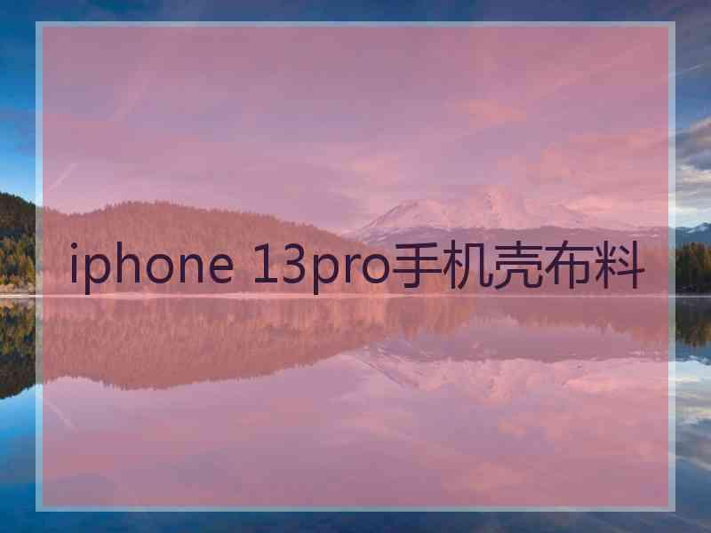 iphone 13pro手机壳布料