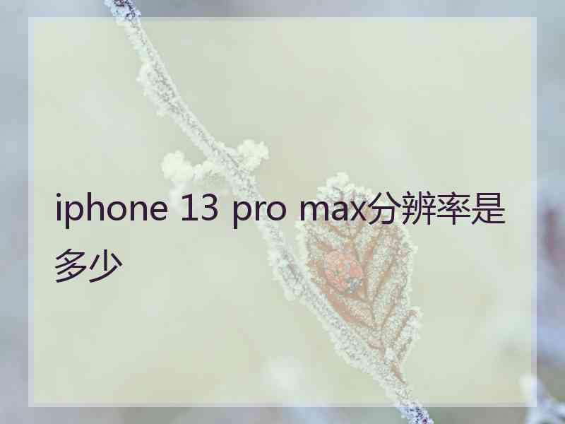 iphone 13 pro max分辨率是多少