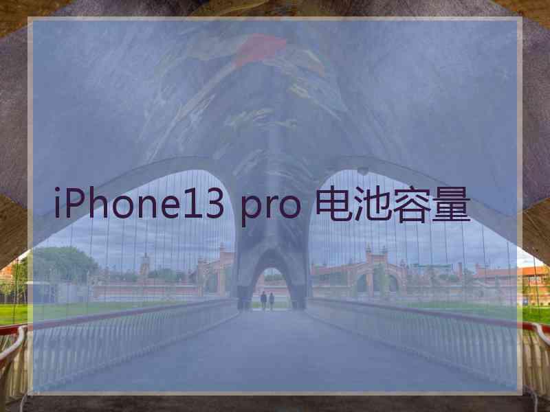 iPhone13 pro 电池容量