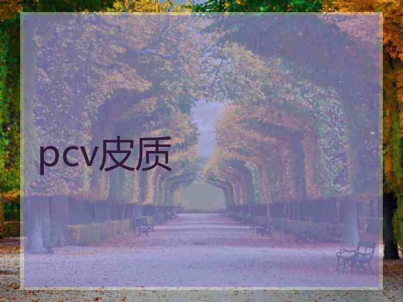 pcv皮质