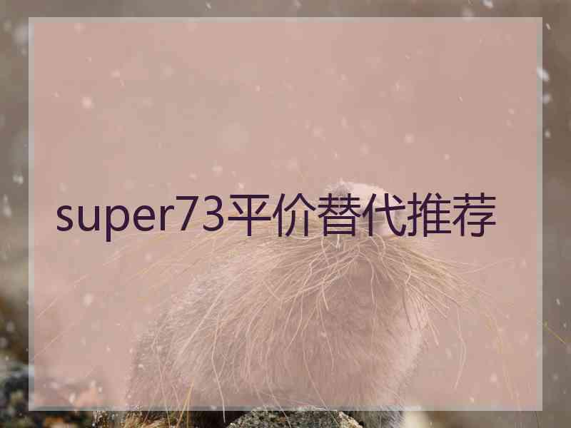 super73平价替代推荐