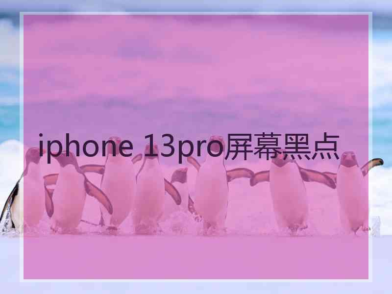 iphone 13pro屏幕黑点