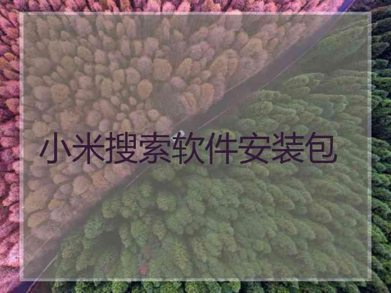 小米搜索软件安装包